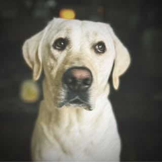 Profile Picture of Chris G (@_john_colter_) on Instagram