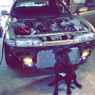 Profile Picture of Mike Petrov (@Mpetrov49) on Twitter