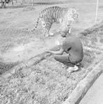 Profile Picture of Linkson Kare (@Linkson-Kare) on Facebook