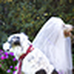 Profile Picture of Kathryn Waldheim (@kwaldheim) on Flickr