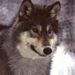 Profile Picture of Rene Limeres (@renelimeres) on Pinterest