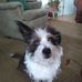 Profile Picture of Patricia Kotlarek (@patricia.kotlarek.1) on Facebook