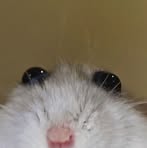 Profile Picture of Trinity Henson (@Trinity-Henson) on Facebook