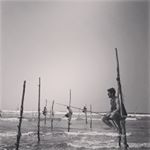 Profile Picture of Dustin Kavanagh (@dustinkav) on Instagram
