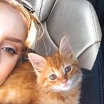 Profile Picture of Karli Haws (@karliahaws) on Instagram