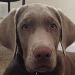 Profile Picture of Scott Rickard (@38 north) on Flickr