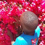 O'brian PIERRE - Instagram Profile Picture of O'brian PIERRE (@champion_pierre) on Instagram