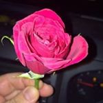 Profile Picture of Clare Bruno (@clarehelen108) on Instagram