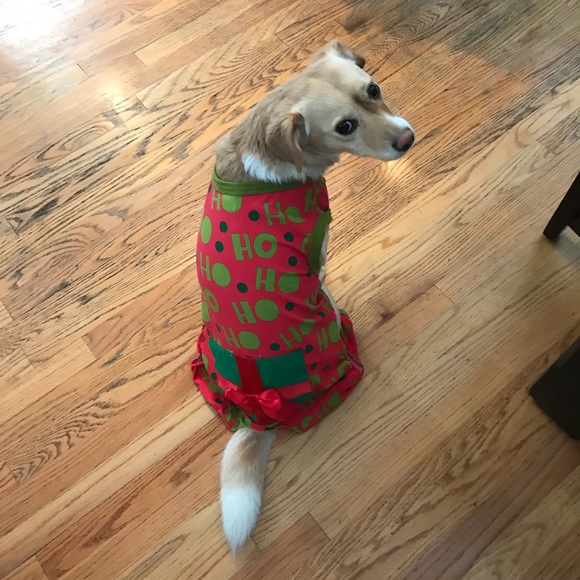 Profile Picture of Solomon Craig (@uncleuncle) on Poshmark