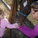 Profile Picture of Nancy Clapper (@crissclapper) on Pinterest
