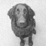 Profile Picture of Steve Karras (@nautiqueman) on Instagram