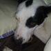 Profile Picture of Stacy Splechter (@stacy.splechter.7) on Facebook