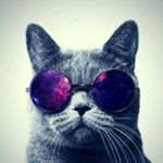 Profile Picture of Paul (@sprymlapatate) on Instagram