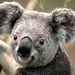 Profile Picture of Basile Zobolas (@basilezobolas) on Pinterest