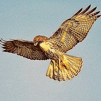 Profile Picture of Emory Wilson (@emory-wilson-1) on Quora