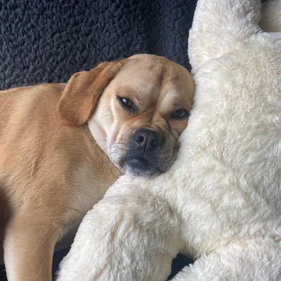 Profile Picture of Sarah Boghosian (@verne2655) on Poshmark