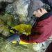 Profile Picture of Ian Fitzgibbon (@iefitzgibbon) on Pinterest