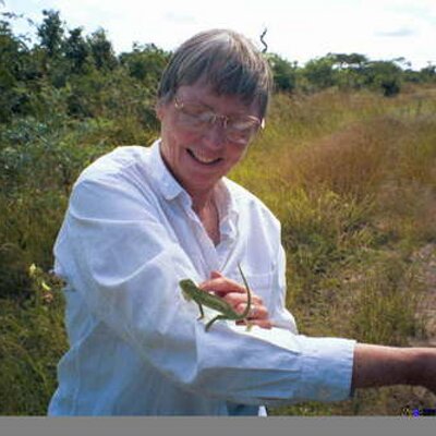 Profile Picture of Gwen Fischer (@GBFischer) on Twitter