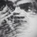 Profile Picture of Matt Andrews (@silkyblackgold) on Pinterest
