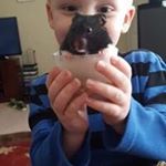 Profile Picture of Bob Cordell (@cordellbob) on Instagram