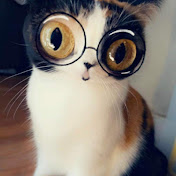 Profile Picture of J.J Young (@j.jyoung2539) on Youtube