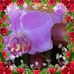 Profile Picture of Rita Pepper (@rita.pepper.98) on Facebook
