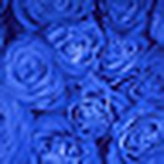 Profile Picture of Julia Cameron (@juliacameron) on Flickr