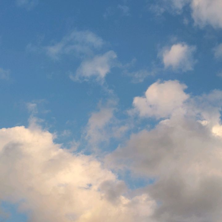 Profile Picture of user6479574035118 (@robert_maier) on Tiktok