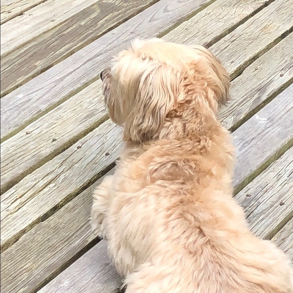 Profile Picture of Jeffrey s Gillis (@jsgillis62) on Poshmark