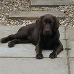 Profile Picture of Scott Liddell (@liddell_scott) on Instagram
