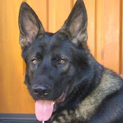 Profile Picture of Cheree Roberts (@chereeroberts7588) on Youtube