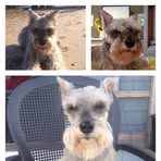 Profile Picture of Sean Gillooley (@sean.gillooley.1) on Facebook