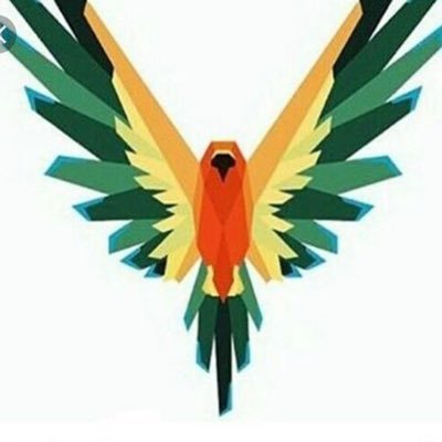 Profile Picture of BE A MAVERICK BABY (@Benjaminpinsky1) on Twitter