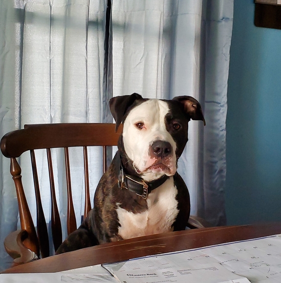 Profile Picture of Heidi Pallazola (@heidipallazola) on Poshmark