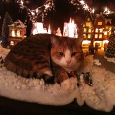 Profile Picture of John Wessels (@Jdewashboard) on Twitter