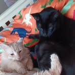 Profile Picture of Kimberly Imler (@Kimberly-Imler) on Facebook