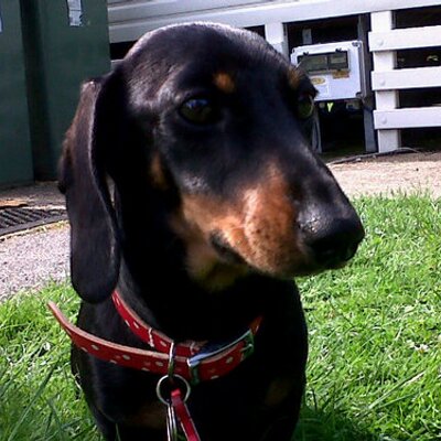 Profile Picture of Faye Stubbs (@fstubbzy) on Twitter