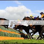 Profile Picture of William Cronin (@will.cronin88) on Instagram