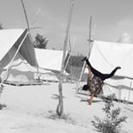 Dino Nguyen - Instagram Profile Picture of Dino Nguyen (@dno.travel.97) on Instagram