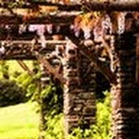 Profile Picture of John Conte (@john-conte-16) on Quora