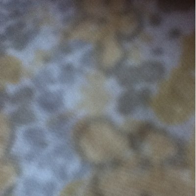 Profile Picture of Baby (@ivana_madzarac) on Twitter