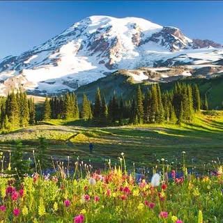 Profile Picture of Corina Monge (@corina.monge) on Instagram