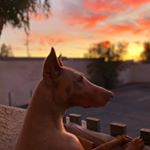 Profile Picture of Yolanda Olivas (@yolli_polli97) on Instagram