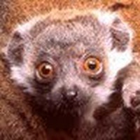 Profile Picture of Frances Mccarthy (@frances-mccarthy-17) on Quora