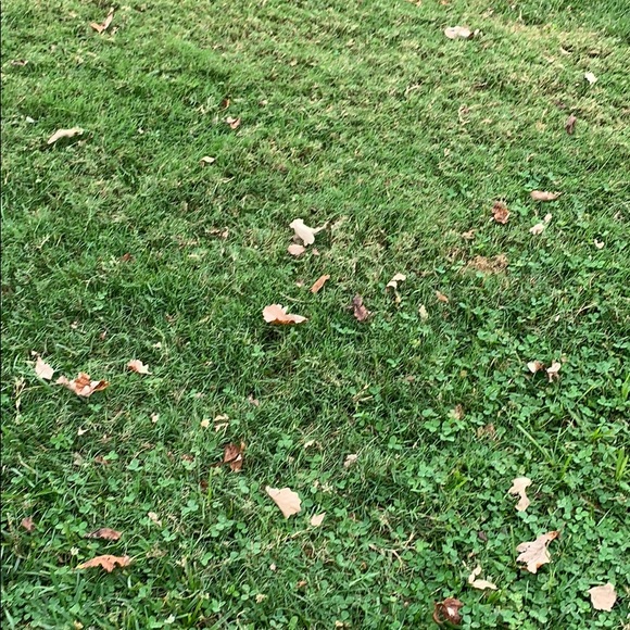 Michael Delpierre - Poshmark Profile Picture of Michael Delpierre (@mdelpierre) on Poshmark