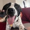 Profile Picture of seandunlavey (@chone093) on Tiktok