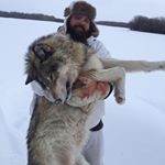 Profile Picture of Kevin Peel (@kevin.d.peel) on Instagram