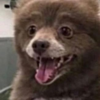 Profile Picture of Cody Chappell (@CodyChappell8) on Twitter