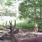 Profile Picture of David Karlik (@David-Karlik) on Facebook