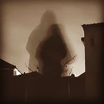 Profile Picture of Vickey Roberts (@sloth_creations) on Instagram